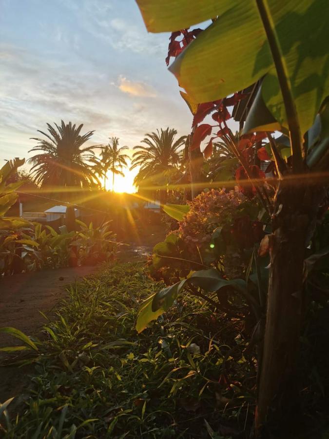 هانجا روا Hostal Tu'U Koihu المظهر الخارجي الصورة