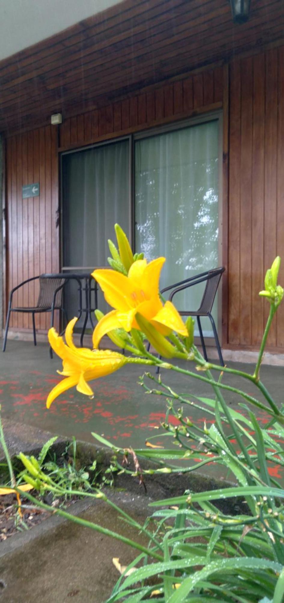 هانجا روا Hostal Tu'U Koihu المظهر الخارجي الصورة