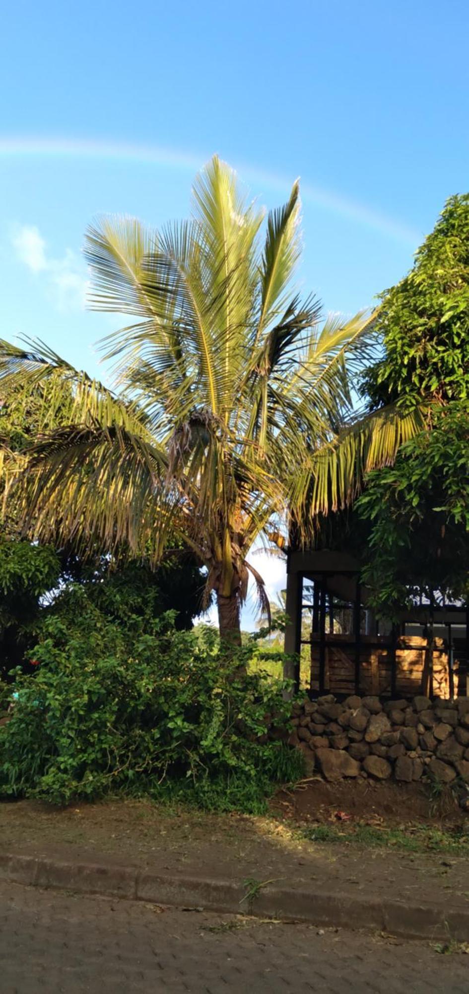 هانجا روا Hostal Tu'U Koihu المظهر الخارجي الصورة